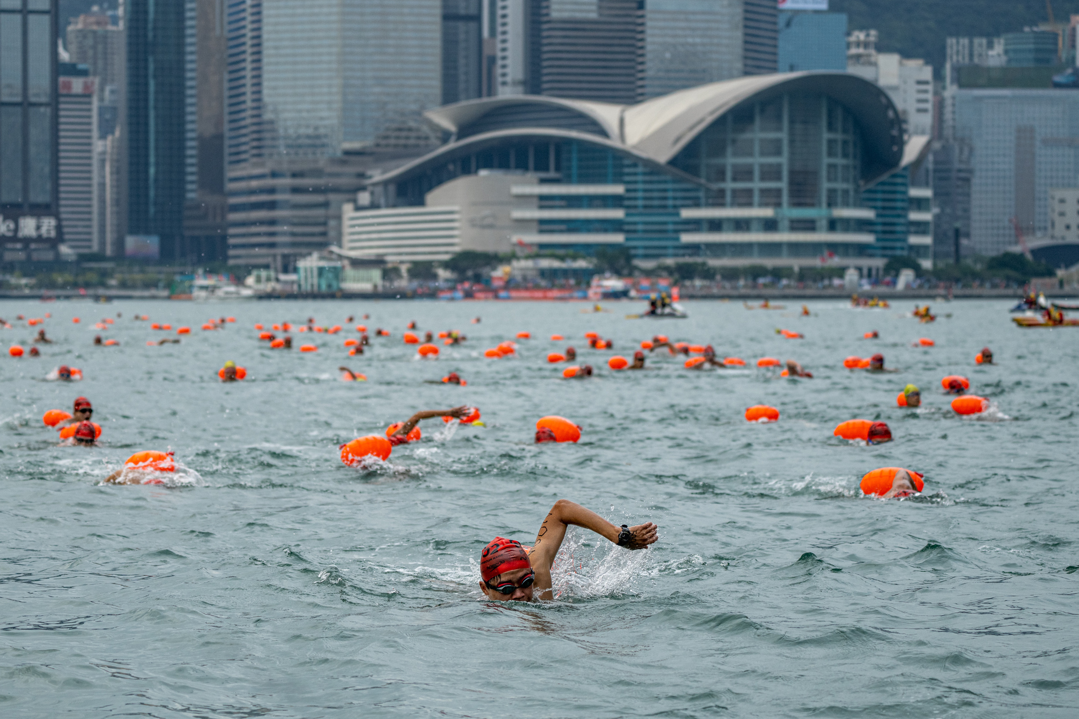 Game On: Your Guide to Hong Kong's Premier Sporting Events This November